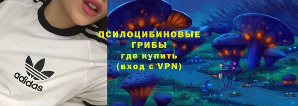 гидропоника Снежногорск