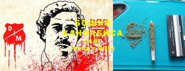 гидропоника Снежногорск
