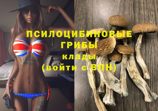 дурь Семёнов